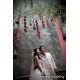 Wedding Package - RM1888