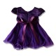 Cutesy Embroidered Purple Little Girls Party Dress