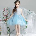 Cute Lace Sleeveless Short Tulle Flower Girl's Party Dress Sky Blue