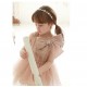 Little  Cutie Star Gems Ribbon Brooch Gauze Princess Dinner Dress
