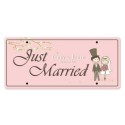 Just Married Personalized Printed Car Plate - Love Knot