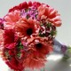 Summerpots Bridal Bouquet - Violet Spring